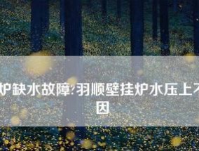 壁挂炉清洗除垢方法及注意事项（保持壁挂炉高效运行）