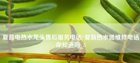 夏普热水器显示E1故障原因及维修方法（了解E1故障的原因和解决方法）  第1张