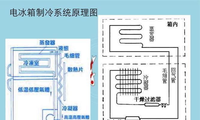 冰箱制冷剂的类型和作用（了解冰箱制冷剂的分类及其重要性）  第3张