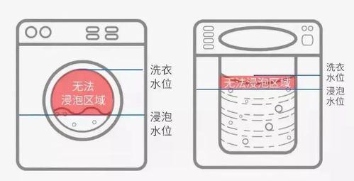 便捷高效的自动洗衣机侧面清洗方法（如何轻松清洁自动洗衣机侧面）  第2张